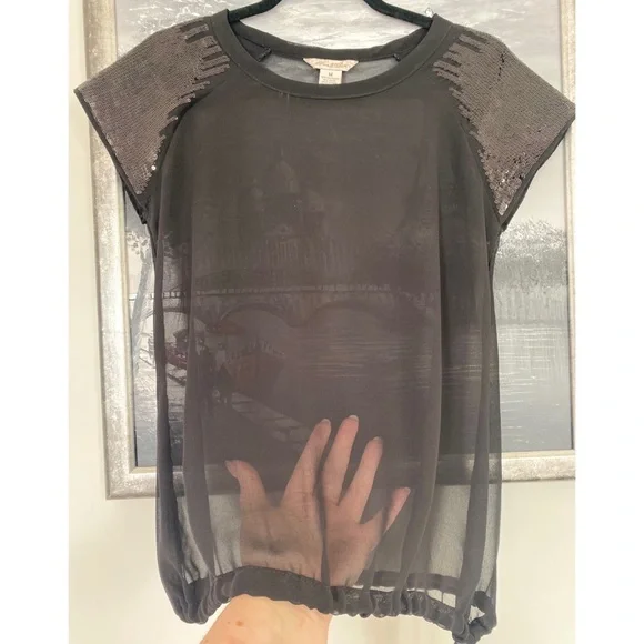 Fun&Flirt Sheer Top - Picture 2 of 3